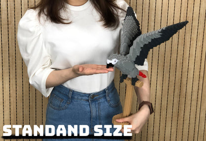 Perroquet Gris du Gabon ailes déployées