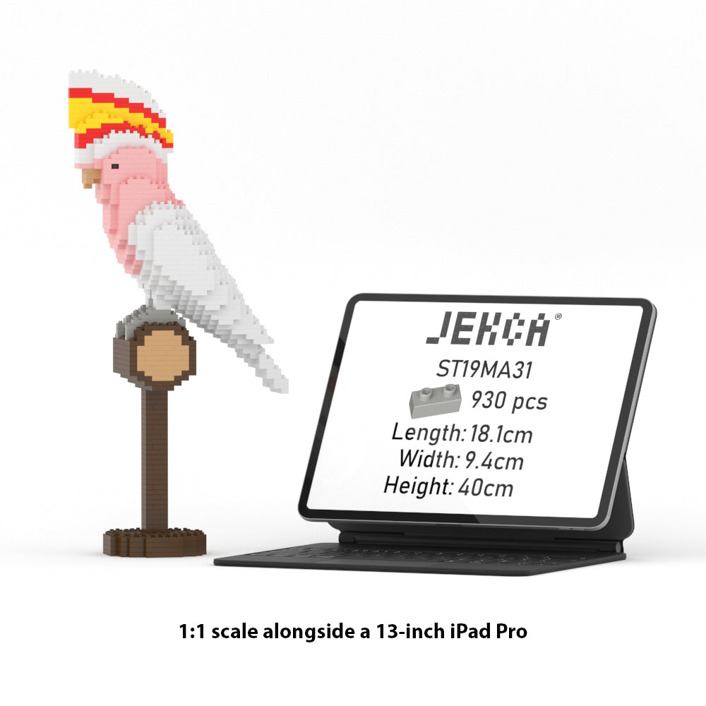 Cacatoès de Leadbeater