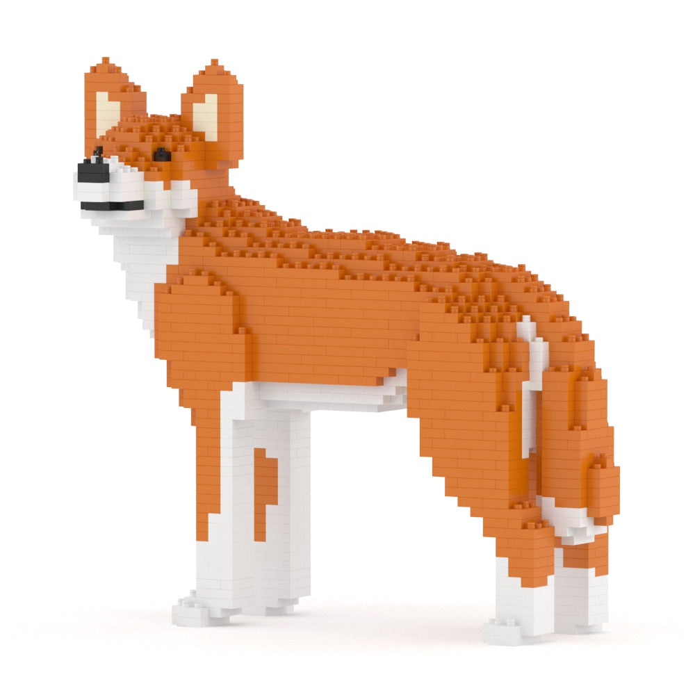 Dingo