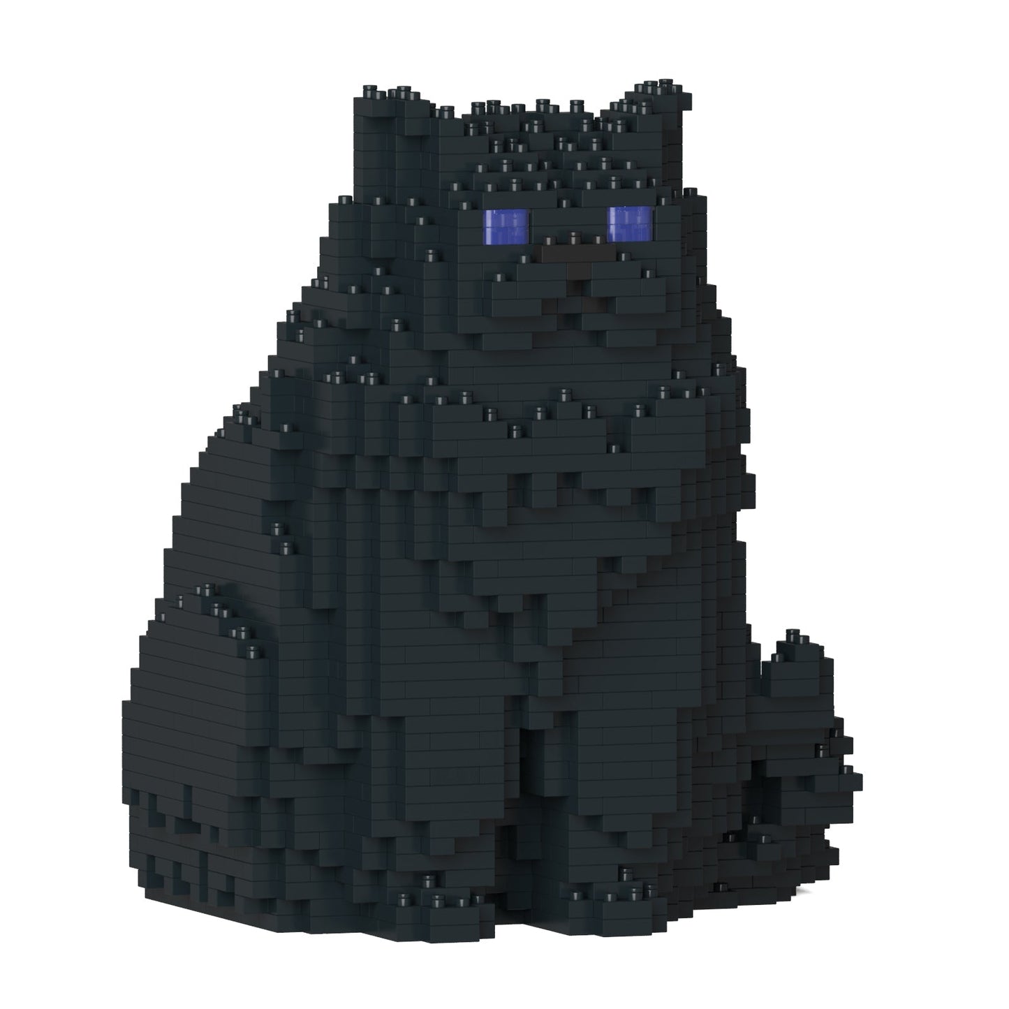 Chat Persan noir assis