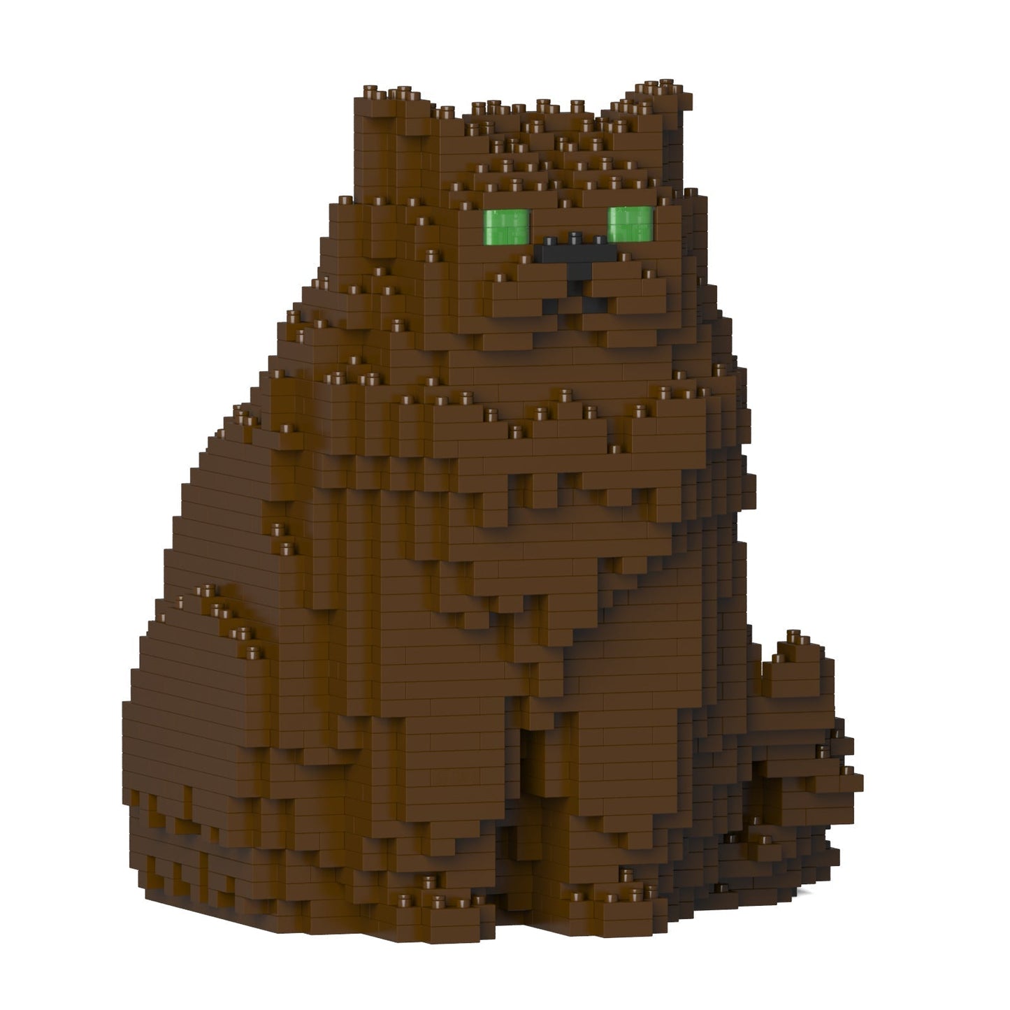 Chat Persan marron assis