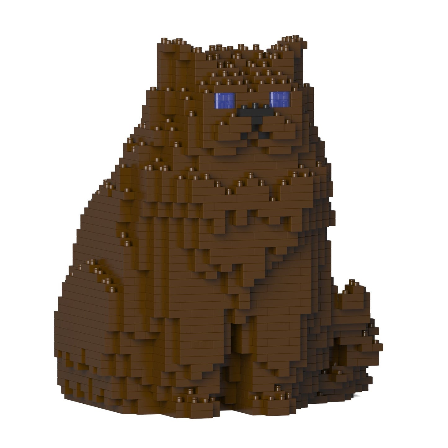 Chat Persan marron assis