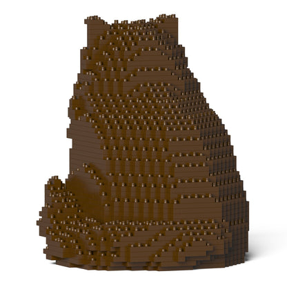 Chat Persan marron assis