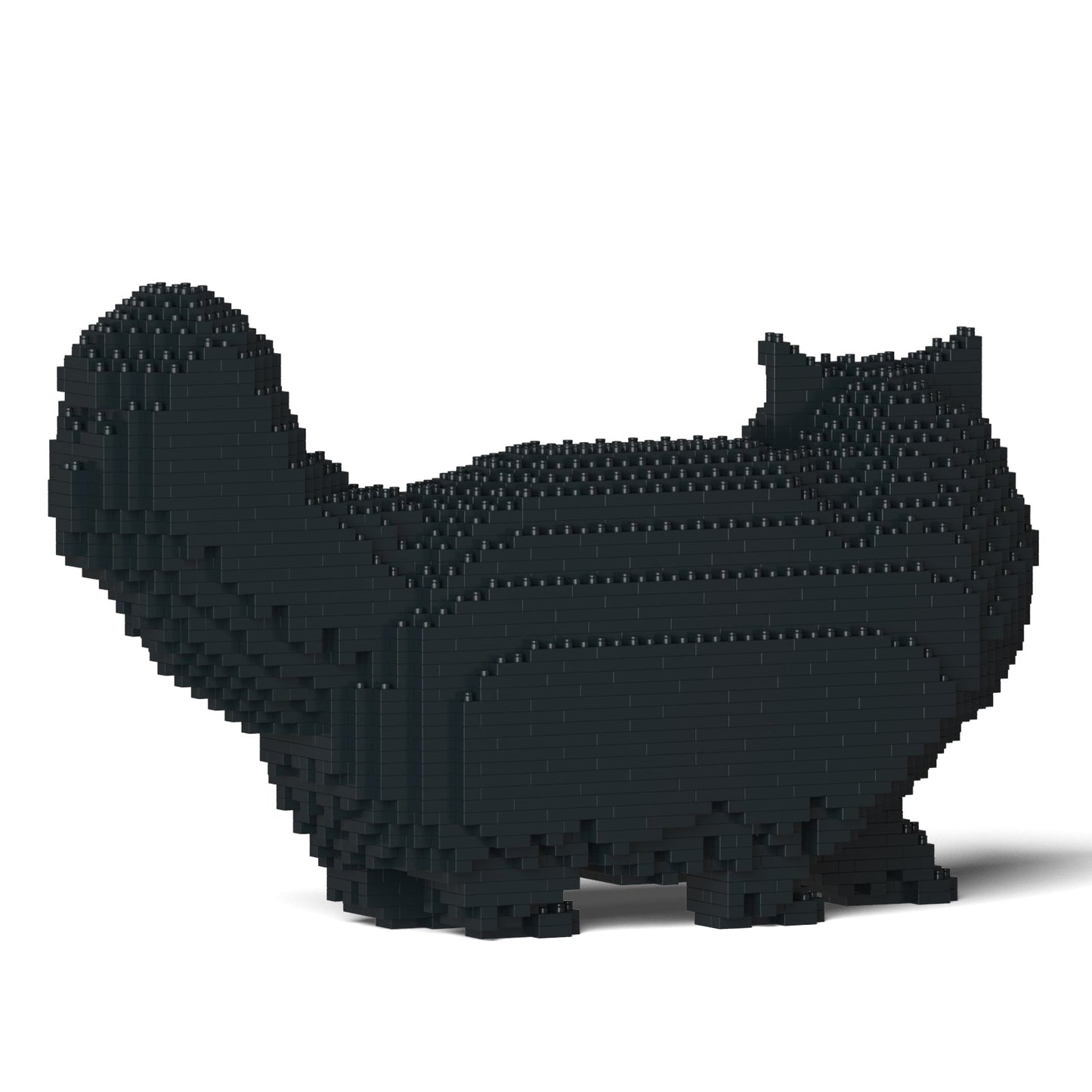 Chat Persan noir