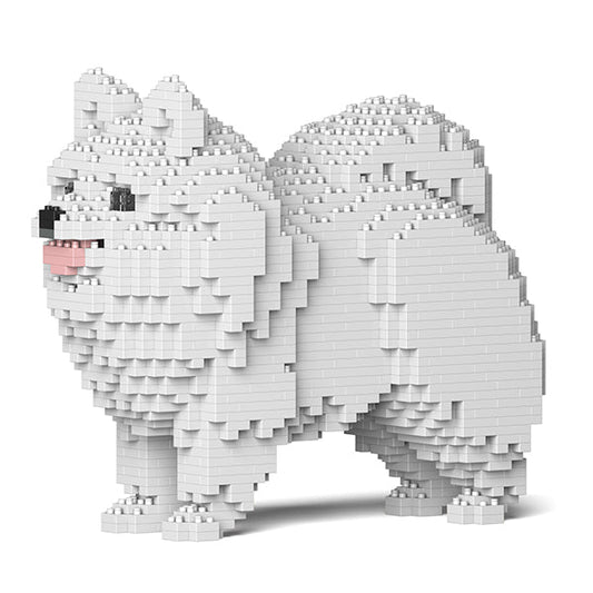 Chien Spitz Nain blanc