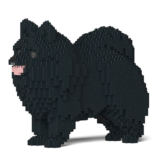 Chien Spitz Nain noir