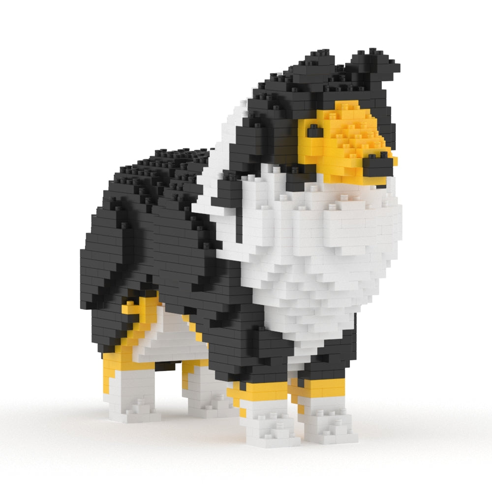 Chien Berger des Shetland noir