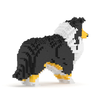 Chien Berger des Shetland noir