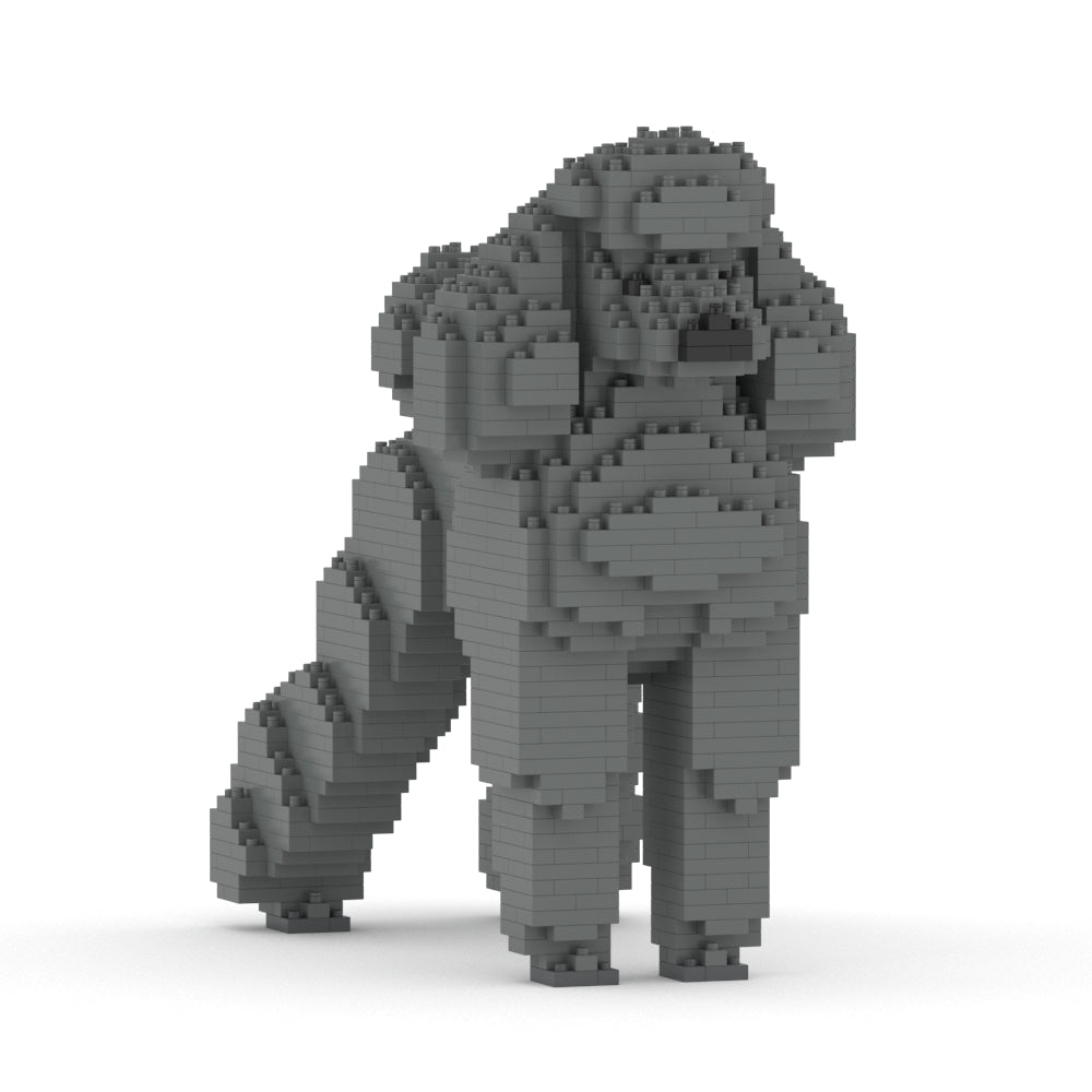 Chien Grand Caniche gris