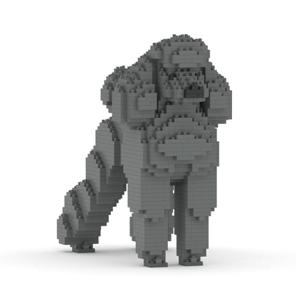 Chien Grand Caniche gris