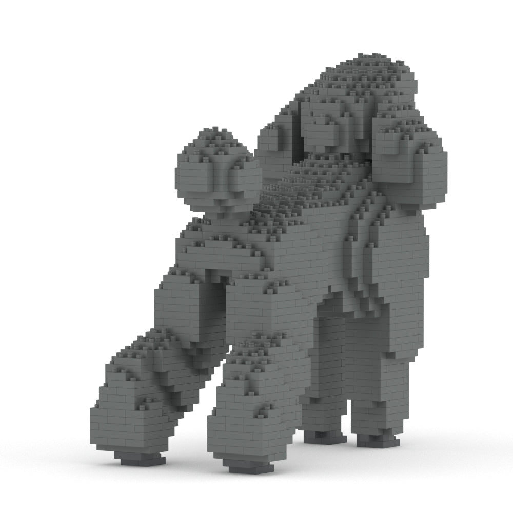 Chien Grand Caniche gris