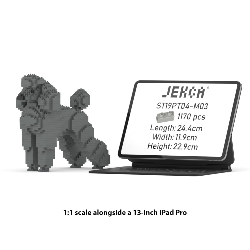 Chien Grand Caniche gris