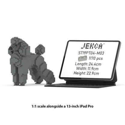 Chien Grand Caniche gris