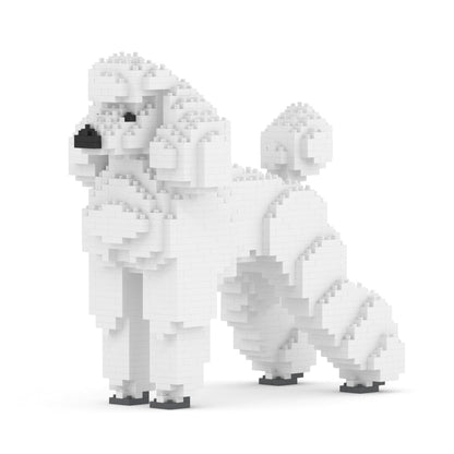 Chien Grand Caniche blanc