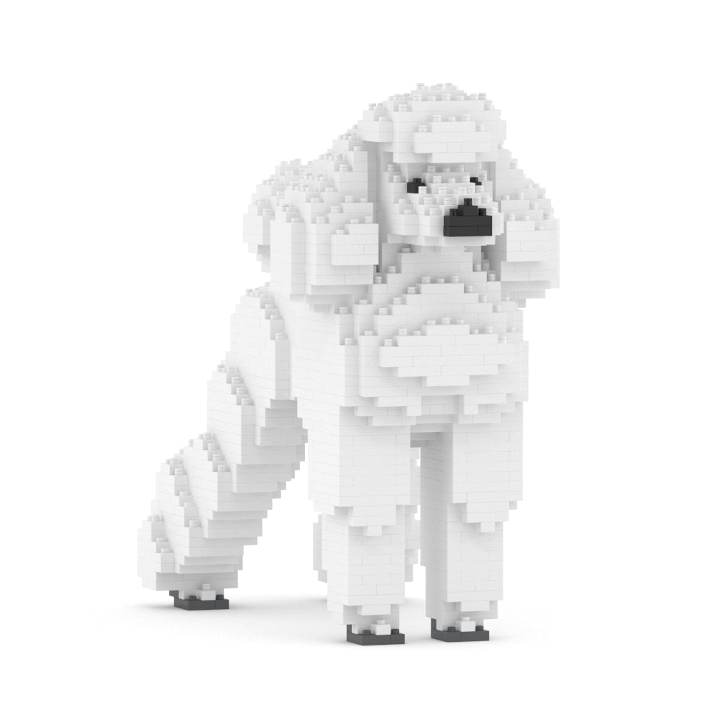 Chien Grand Caniche blanc