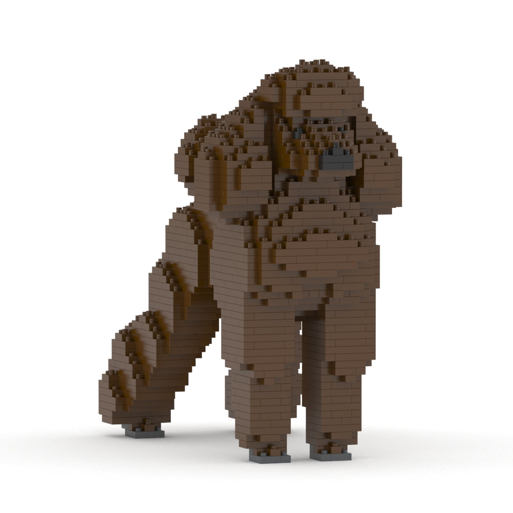 Chien Grand Caniche marron