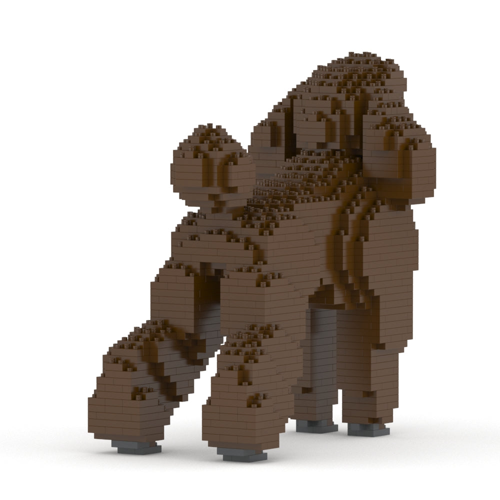 Chien Grand Caniche marron