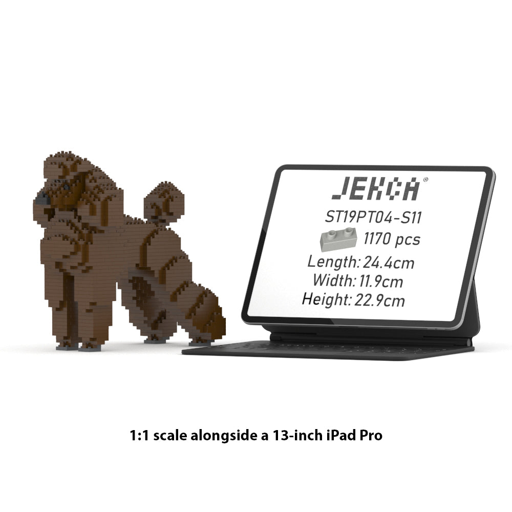 Chien Grand Caniche marron