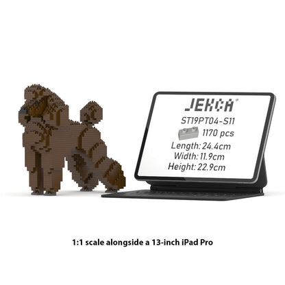 Chien Grand Caniche marron