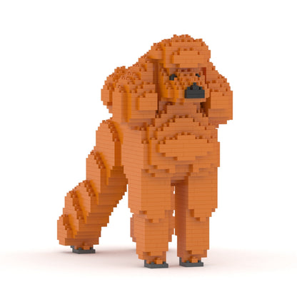 Chien Grand Caniche roux