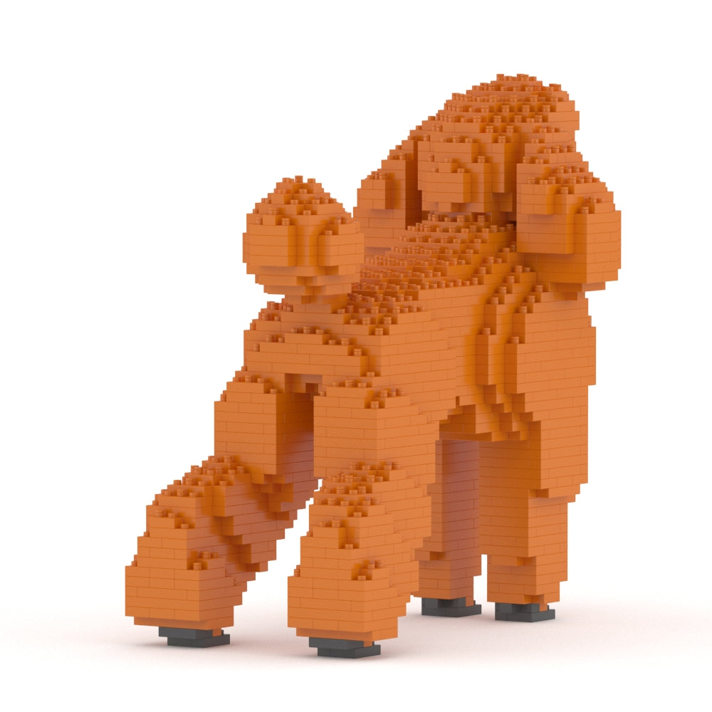 Chien Grand Caniche roux