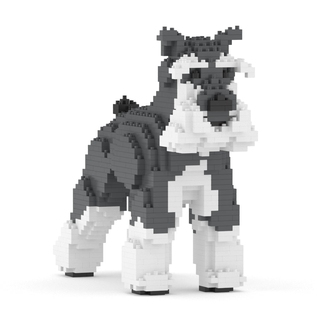 Chien Schnauzer Moyen gris et blanc