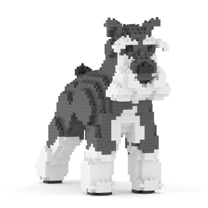 Chien Schnauzer Moyen gris et blanc