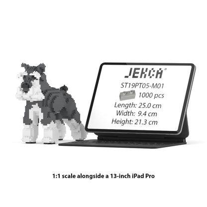 Chien Schnauzer Moyen gris et blanc