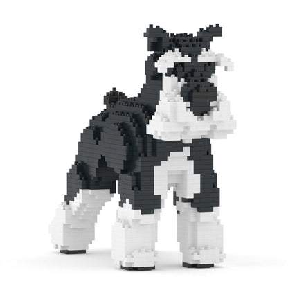 Chien Schnauzer Moyen noir et blanc