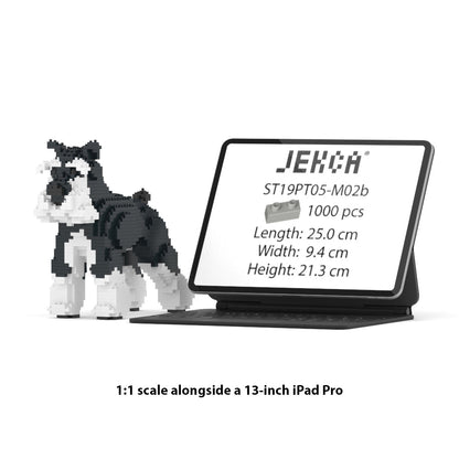 Chien Schnauzer Moyen noir et blanc