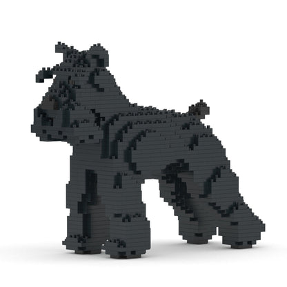 Chien Schnauzer Moyen noir