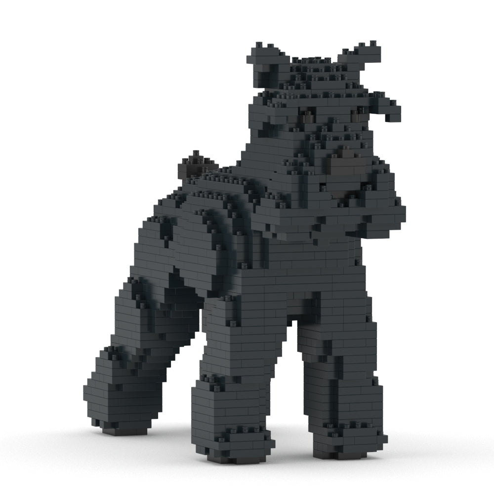 Chien Schnauzer Moyen noir