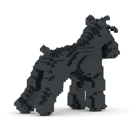 Chien Schnauzer Moyen noir