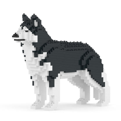 Chien Husky noir