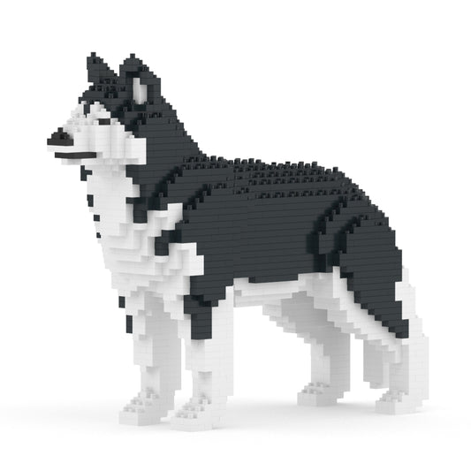 Chien Husky noir