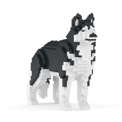 Chien Husky noir