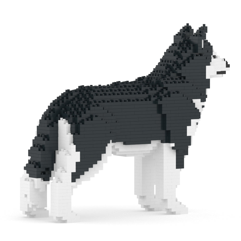Chien Husky noir