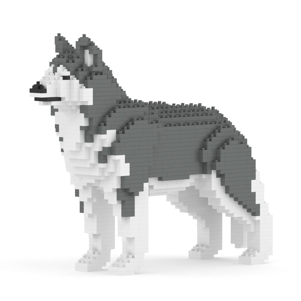 Chien Husky gris