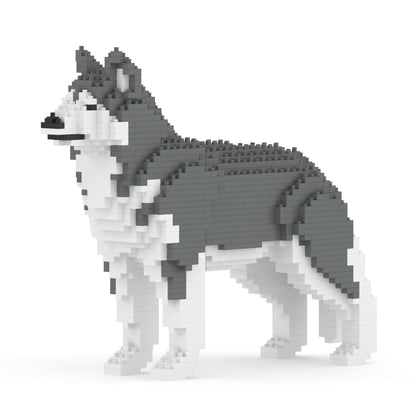 Chien Husky gris