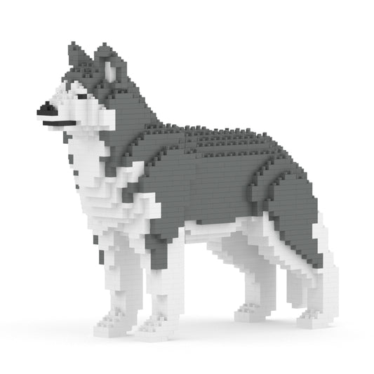 Chien Husky gris