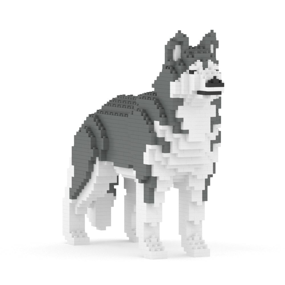 Chien Husky gris