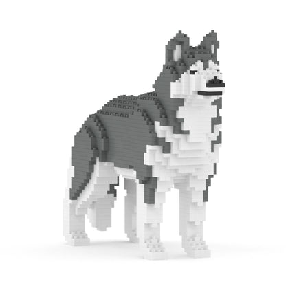 Chien Husky gris