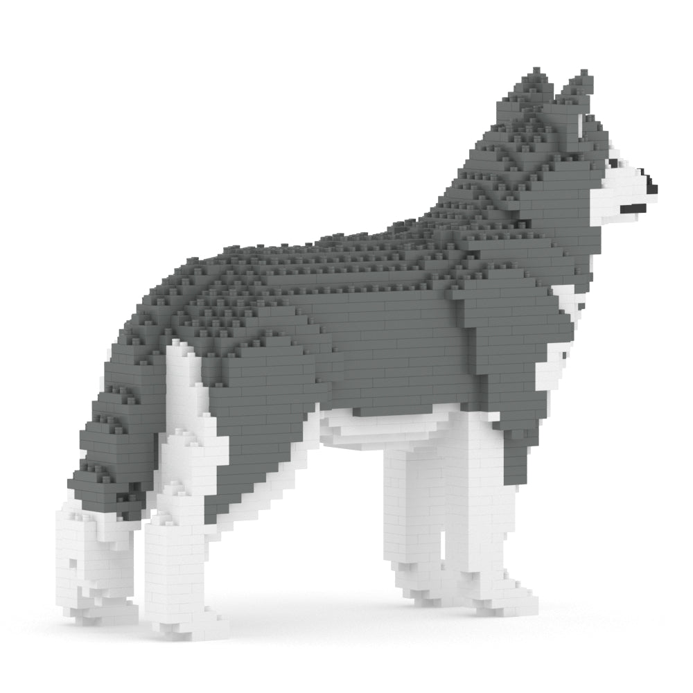 Chien Husky gris