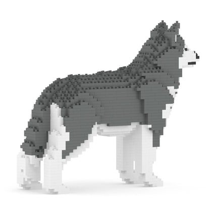 Chien Husky gris