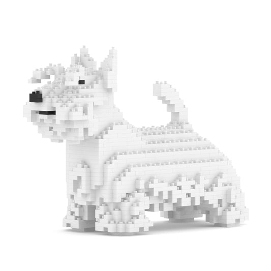 Chien Terrier Ecossais blanc