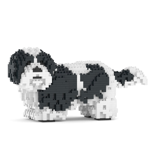 Chien Shih Tzu taches noires
