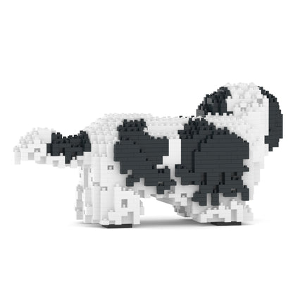 Chien Shih Tzu taches noires