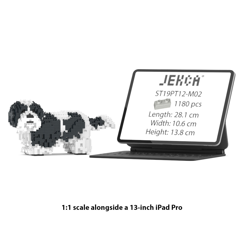 Chien Shih Tzu taches noires