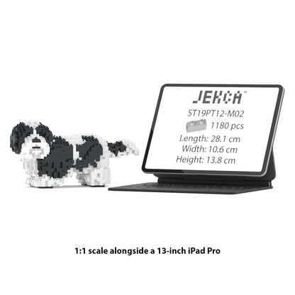 Chien Shih Tzu taches noires