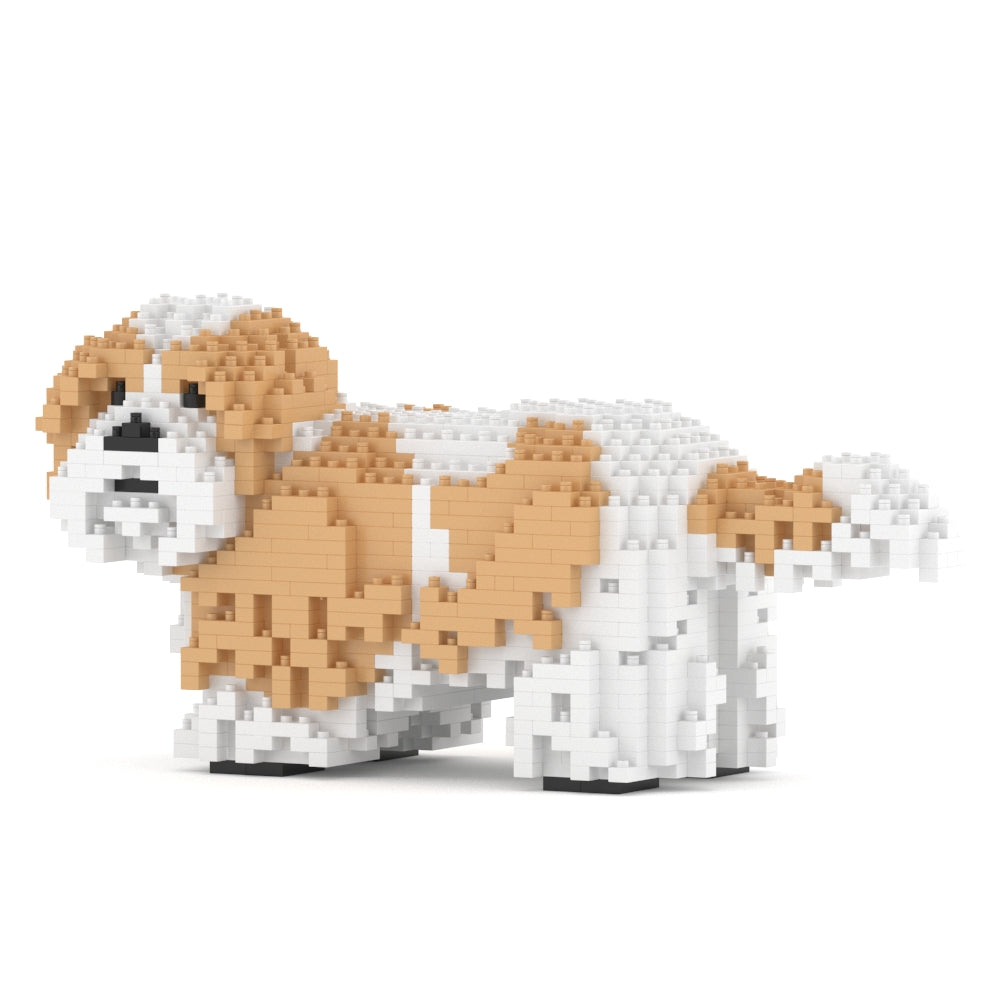 Chien Shih Tzu taches beiges
